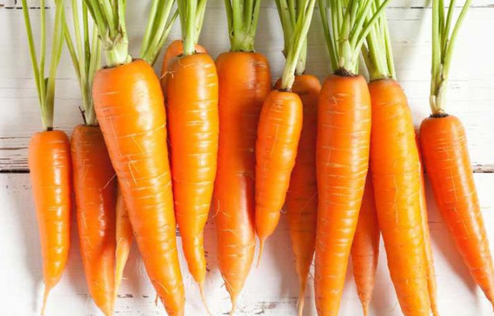 Chống lão hóa với cà rốt